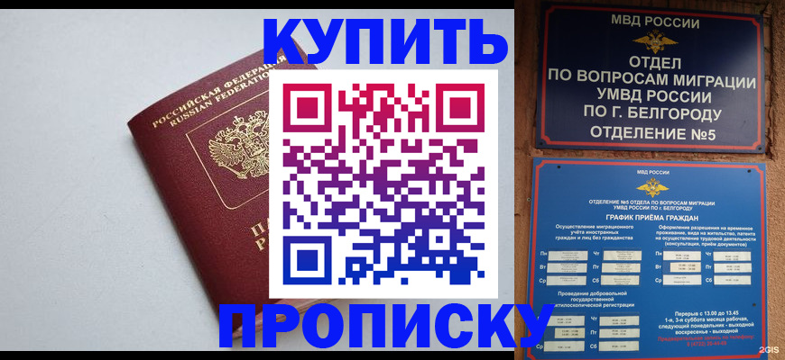 прописка регистрация в Ряжске